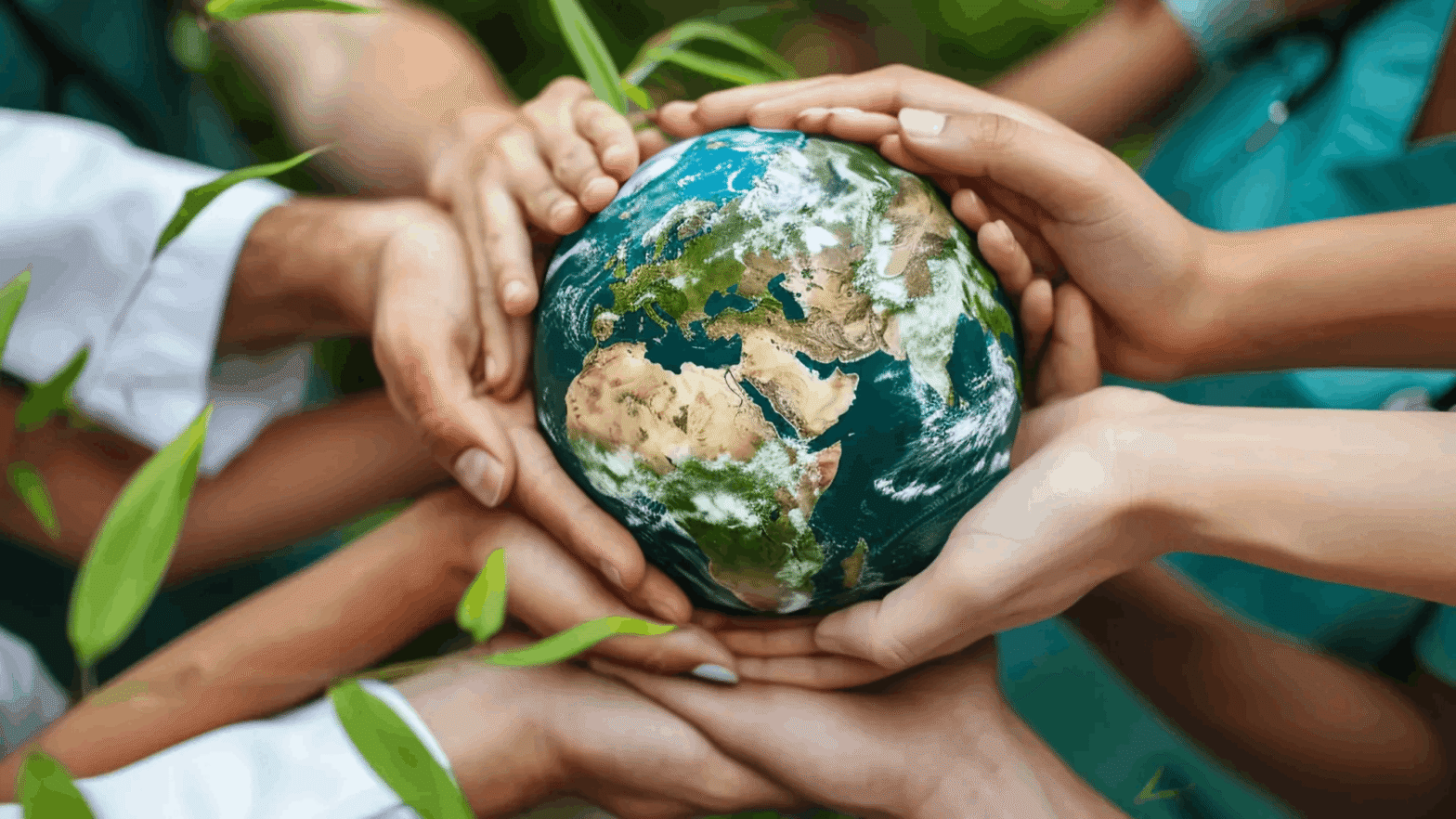 Environmental Health